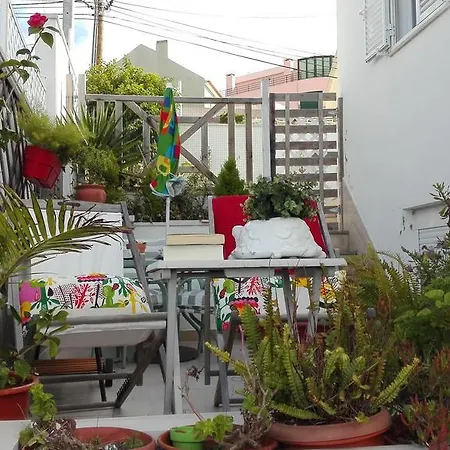 Vista Sobre O Mar E Cidade *